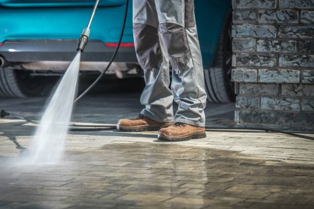Best Pre-Holiday Cleaning  in Plains, TX